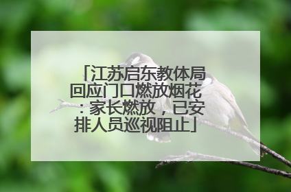 江苏启东教体局回应门口燃放烟花：家长燃放，已安排人员巡视阻止