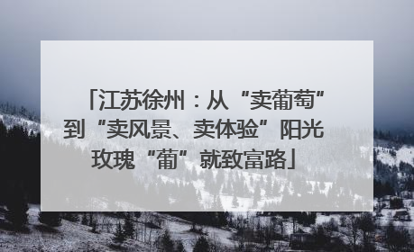 江苏徐州：从“卖葡萄”到“卖风景、卖体验”阳光玫瑰“葡”就致富路