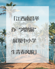 江西南昌举办“鸿鹄展” 展现中小学生青春风貌