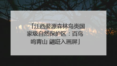 江西婺源森林鸟类国家级自然保护区：百鸟鸣青山 翩跹入画屏