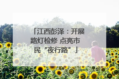 江西彭泽：开展路灯检修 点亮市民“夜行路”