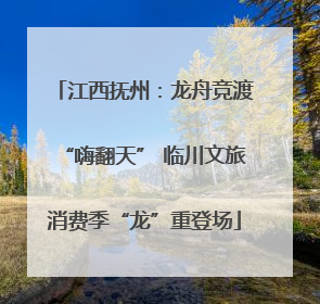 江西抚州：龙舟竞渡“嗨翻天” 临川文旅消费季“龙”重登场