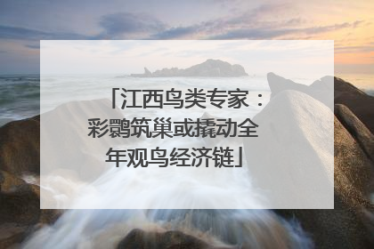 江西鸟类专家：彩鹮筑巢或撬动全年观鸟经济链