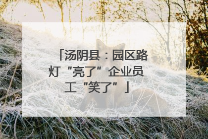 汤阴县：园区路灯“亮了”企业员工“笑了”