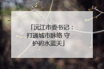 沅江市委书记：打通城市脉络 守护碧水蓝天