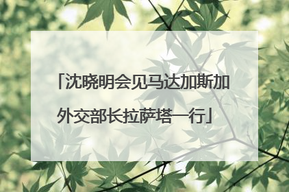 沈晓明会见马达加斯加外交部长拉萨塔一行