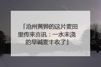 沧州黄骅的这片麦田里传来喜讯：一水未浇的旱碱麦丰收了