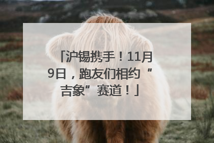 沪锡携手！11月9日，跑友们相约“吉象”赛道！