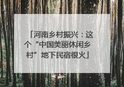 河南乡村振兴：这个“中国美丽休闲乡村”地下民宿很火