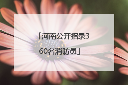 河南公开招录360名消防员
