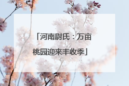 河南尉氏：万亩桃园迎来丰收季
