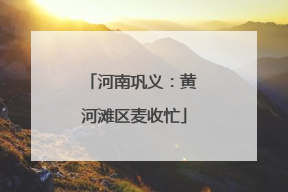 河南巩义：黄河滩区麦收忙