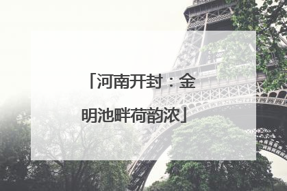 河南开封：金明池畔荷韵浓