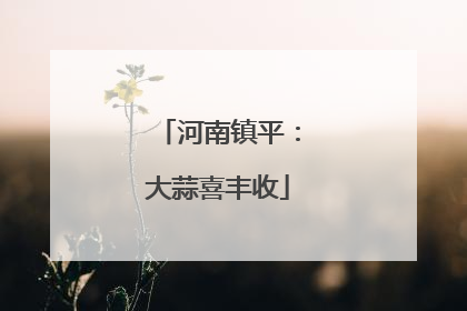 河南镇平：大蒜喜丰收