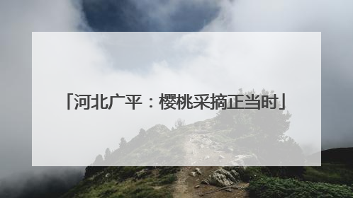 河北广平：樱桃采摘正当时