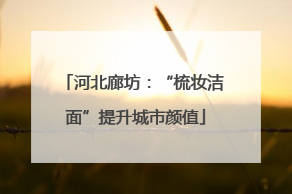 河北廊坊：“梳妆洁面”提升城市颜值