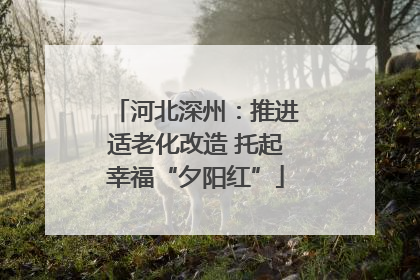 河北深州：推进适老化改造 托起幸福“夕阳红”