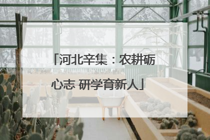 河北辛集：农耕砺心志 研学育新人
