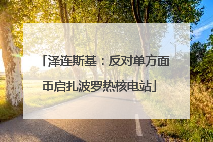 泽连斯基：反对单方面重启扎波罗热核电站