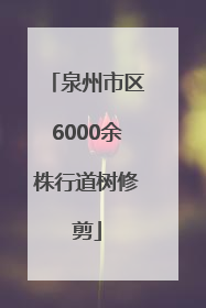泉州市区6000余株行道树修剪