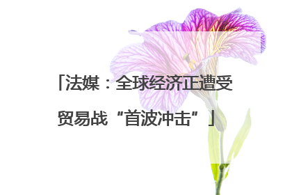 法媒：全球经济正遭受贸易战“首波冲击”