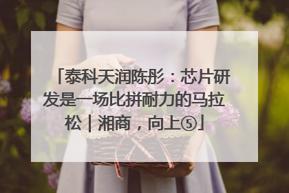 泰科天润陈彤：芯片研发是一场比拼耐力的马拉松｜湘商，向上⑤