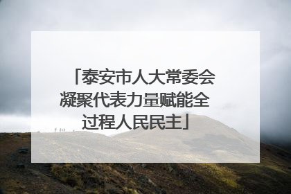 泰安市人大常委会凝聚代表力量赋能全过程人民民主