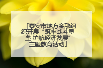 泰安市地方金融组织开展“筑牢战斗堡垒 护航经济发展”主题教育活动