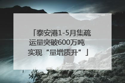 泰安港1-5月集疏运量突破600万吨 实现“量增质升”