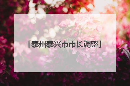 泰州泰兴市市长调整