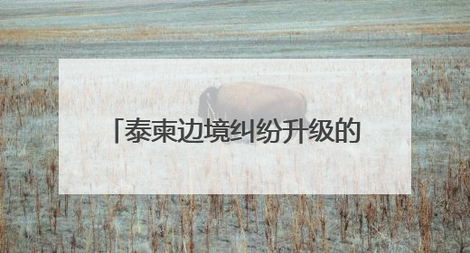 泰柬边境纠纷升级的敏感时期，泰军方宣布购买新型战斗机