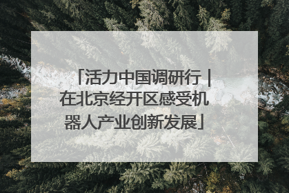 活力中国调研行｜在北京经开区感受机器人产业创新发展