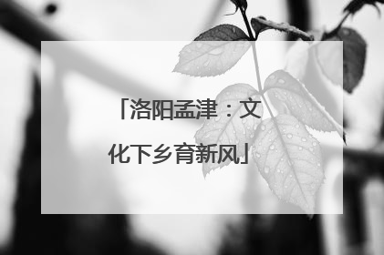 洛阳孟津：文化下乡育新风
