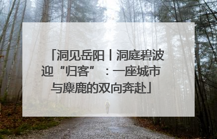 洞见岳阳丨洞庭碧波迎“归客”：一座城市与麋鹿的双向奔赴
