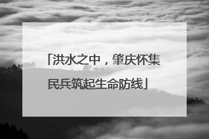洪水之中，肇庆怀集民兵筑起生命防线