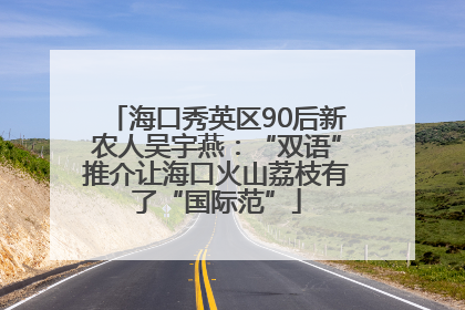 海口秀英区90后新农人吴宇燕：“双语”推介让海口火山荔枝有了“国际范”