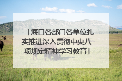 海口各部门各单位扎实推进深入贯彻中央八项规定精神学习教育