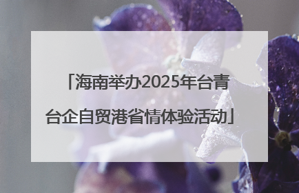 海南举办2025年台青台企自贸港省情体验活动