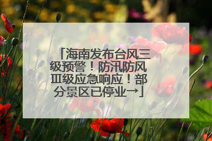 海南发布台风三级预警！防汛防风Ⅲ级应急响应！部分景区已停业→