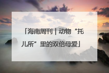 海南周刊｜动物“托儿所”里的双倍母爱