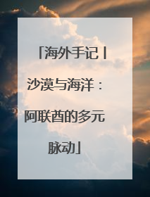 海外手记丨沙漠与海洋：阿联酋的多元脉动