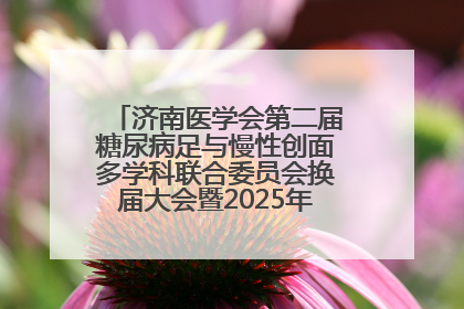 济南医学会第二届糖尿病足与慢性创面多学科联合委员会换届大会暨2025年学术年会成功举行