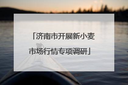 济南市开展新小麦市场行情专项调研