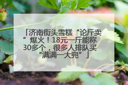 济南街头雪糕“论斤卖”爆火！18元一斤能称30多个，很多人排队买“满满一大兜”