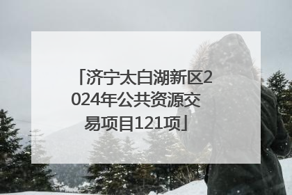 济宁太白湖新区2024年公共资源交易项目121项
