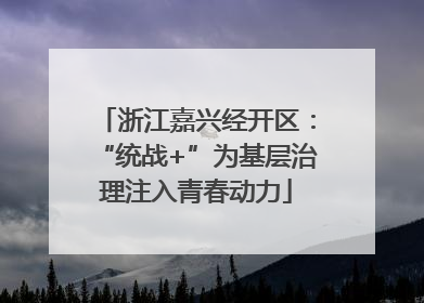 浙江嘉兴经开区：“统战+”为基层治理注入青春动力