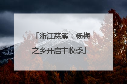 浙江慈溪：杨梅之乡开启丰收季