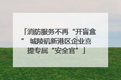 消防服务不再“开盲盒” 城陵矶新港区企业喜提专属“安全官”