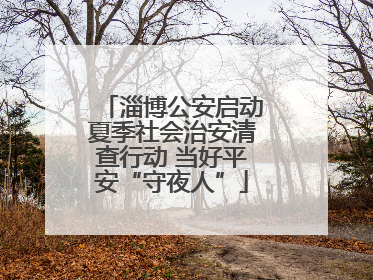 淄博公安启动夏季社会治安清查行动 当好平安“守夜人”