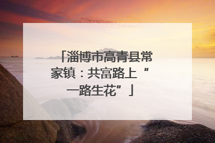 淄博市高青县常家镇：共富路上“一路生花”